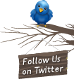 Like us on Twitter